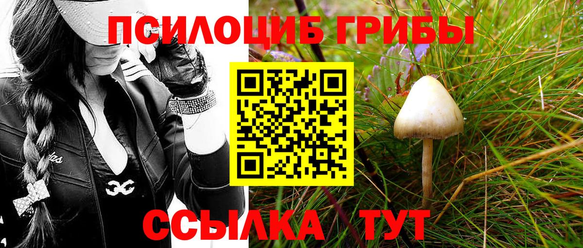 где купить наркоту  Галлюциногенные грибы Cubensis  Галлюциногенные грибы MAGIC MUSHROOMS  Вход с VPN  Щёлково 